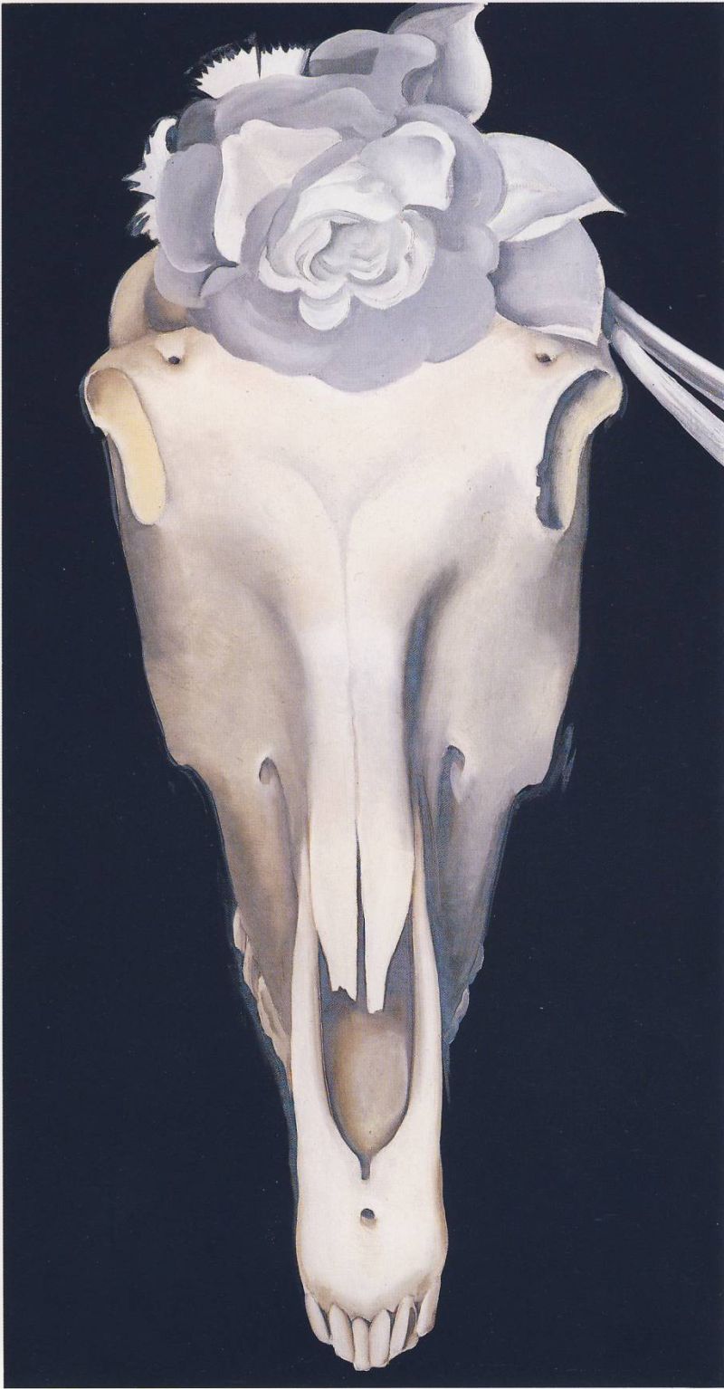 Horse&#39;s Skull with White Rose