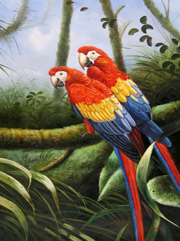 Jungle Parrots