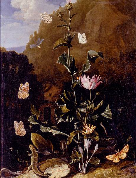 Still Life Of A Thistle And Other Flowers Surrounded By Moths