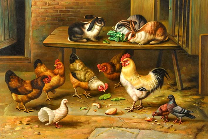 Rabbits, Chickens and Pigeons