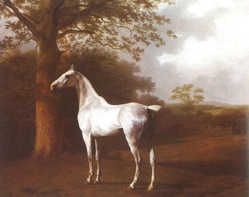 Jacques-Laurent Agasse White Horse In Pasture