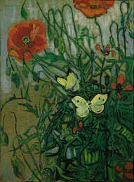 Butterflies and Poppies, St. Remy 1890 - Vincent Van Gogh