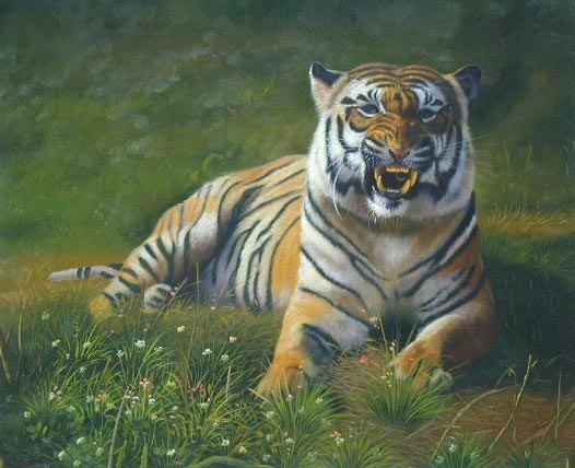 tiger-008