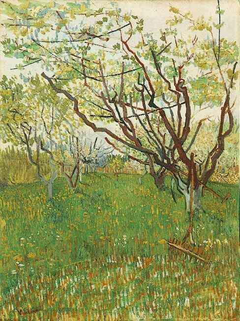 Orchard in Blossom 1