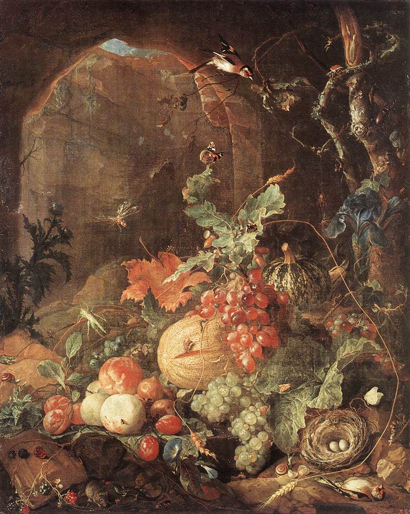 Still-life with Bird-nest