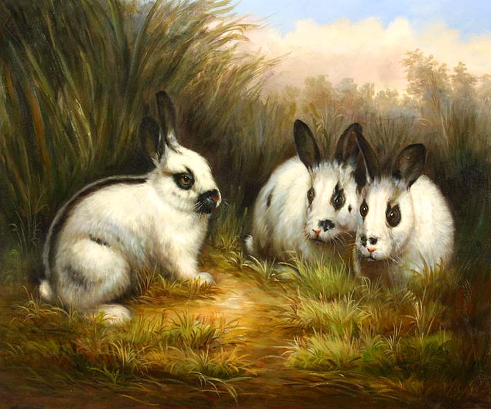 Black and White Rabbits